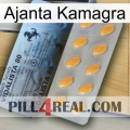 Ajanta Kamagra 44